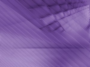 网站SEO优化网站排版优化技巧提升可读性